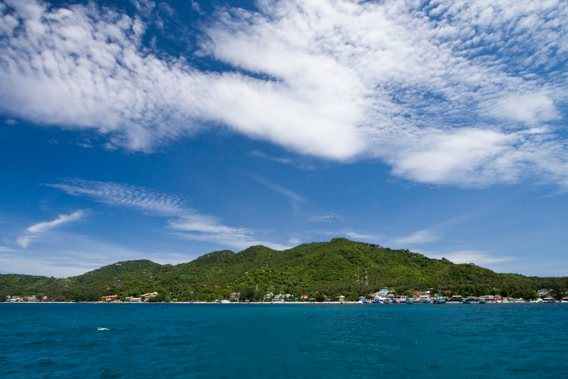 ko tao.webp